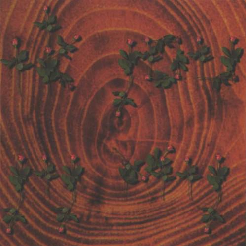 Van Dik Hout